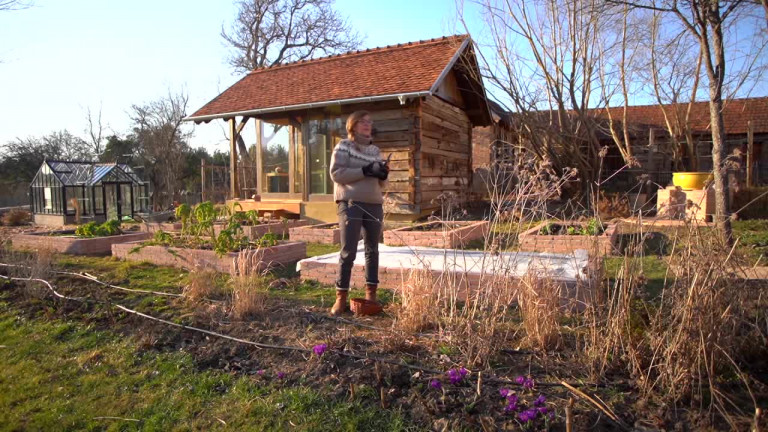 Kertem: a hortenziák metszése