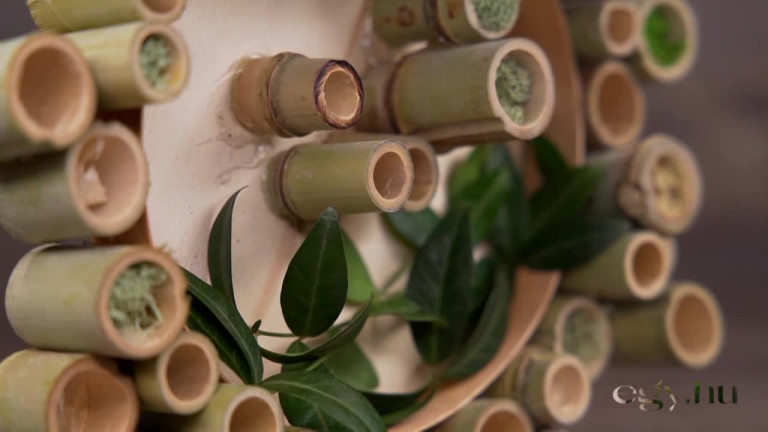 Dekoráció bambuszból: olcsó, hamar elkészül és nagyon szép