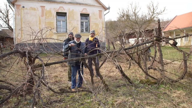 Kalaznó: lugast épít a filmrendező