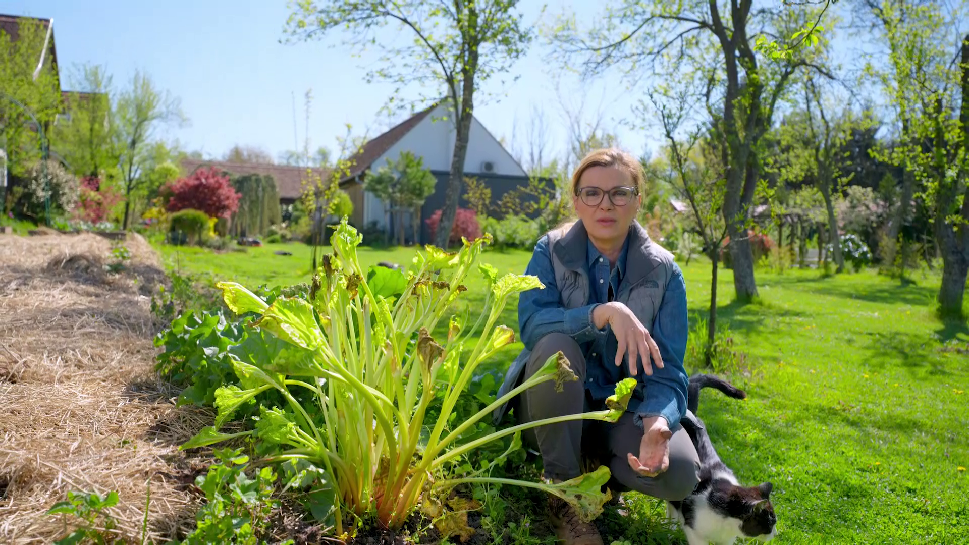 Májusi csemegék az őrségi kertből